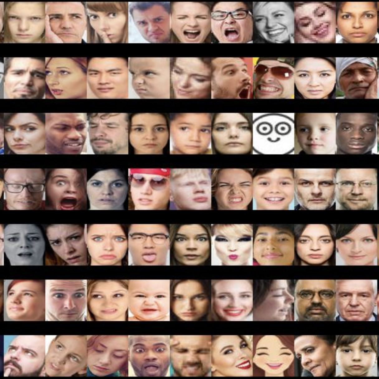 Facial emotion recognition