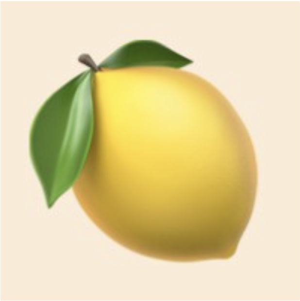 LemonAI NLP pipeline